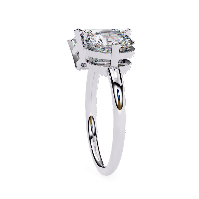 Radiant and Round solitaire toi et moi ring